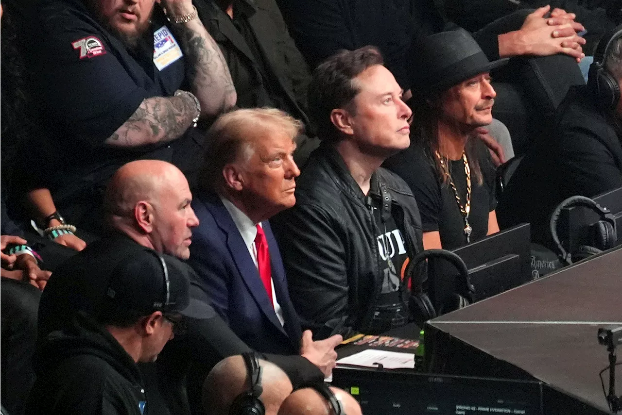 Trump attends UFC championship fight in New York