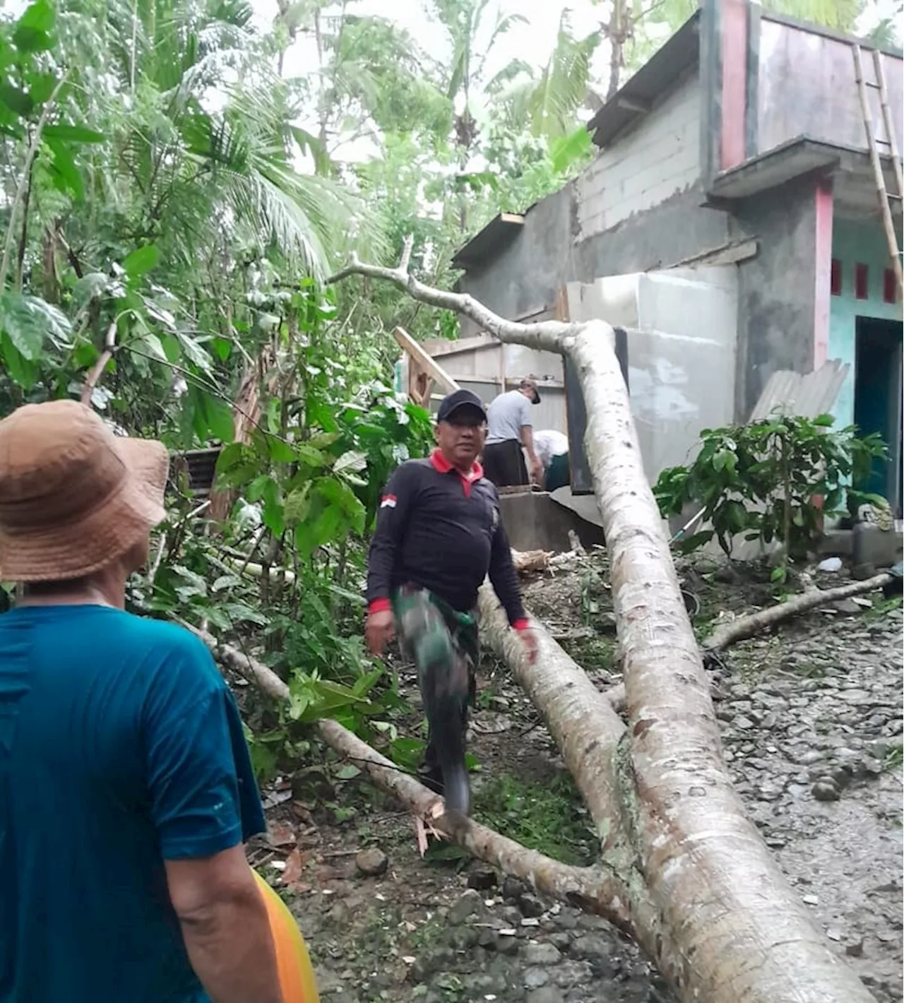 Cuaca Ekstrem Melanda Tiga Kecamatan di Ciamis, Sejumlah Pohon Tumbang