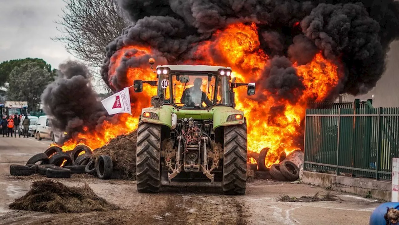 Dans le Gard, les agriculteurs en colère lancent l’opération Chouette ce lundi soir