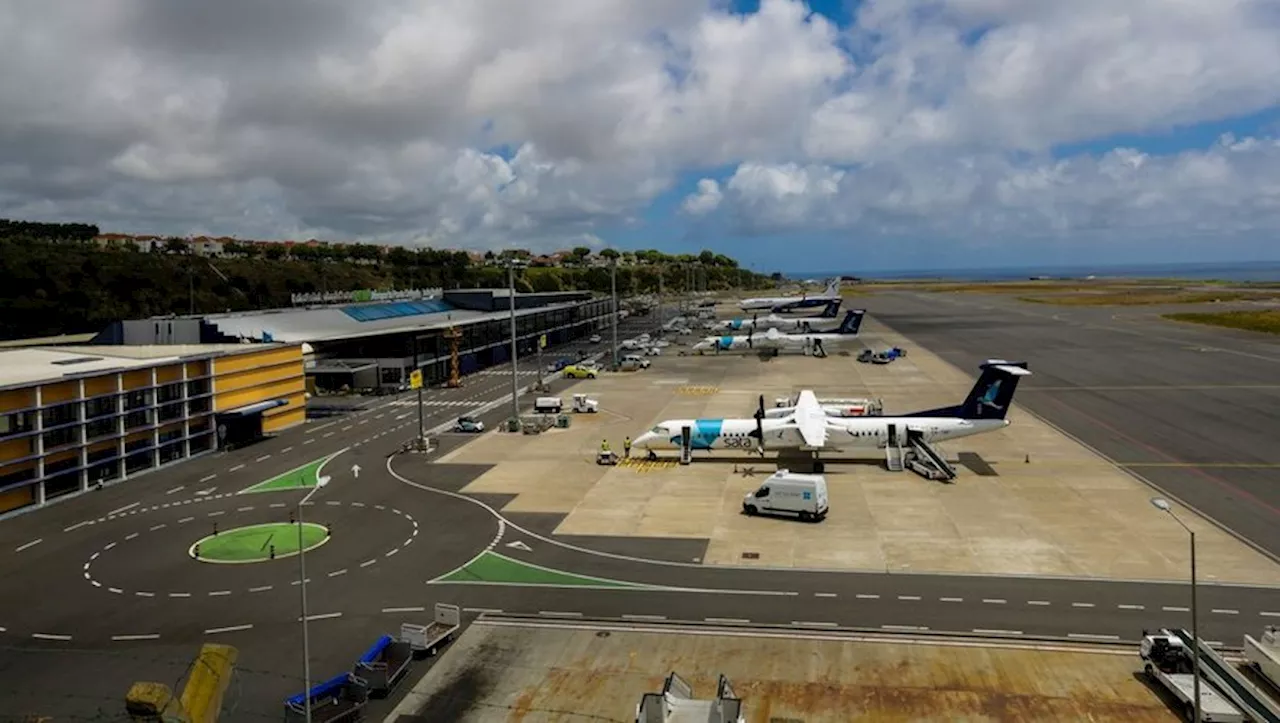 INSOLITE. Aux Açores, un avion est cloué au sol depuis cinq jours à cause de… hamsters