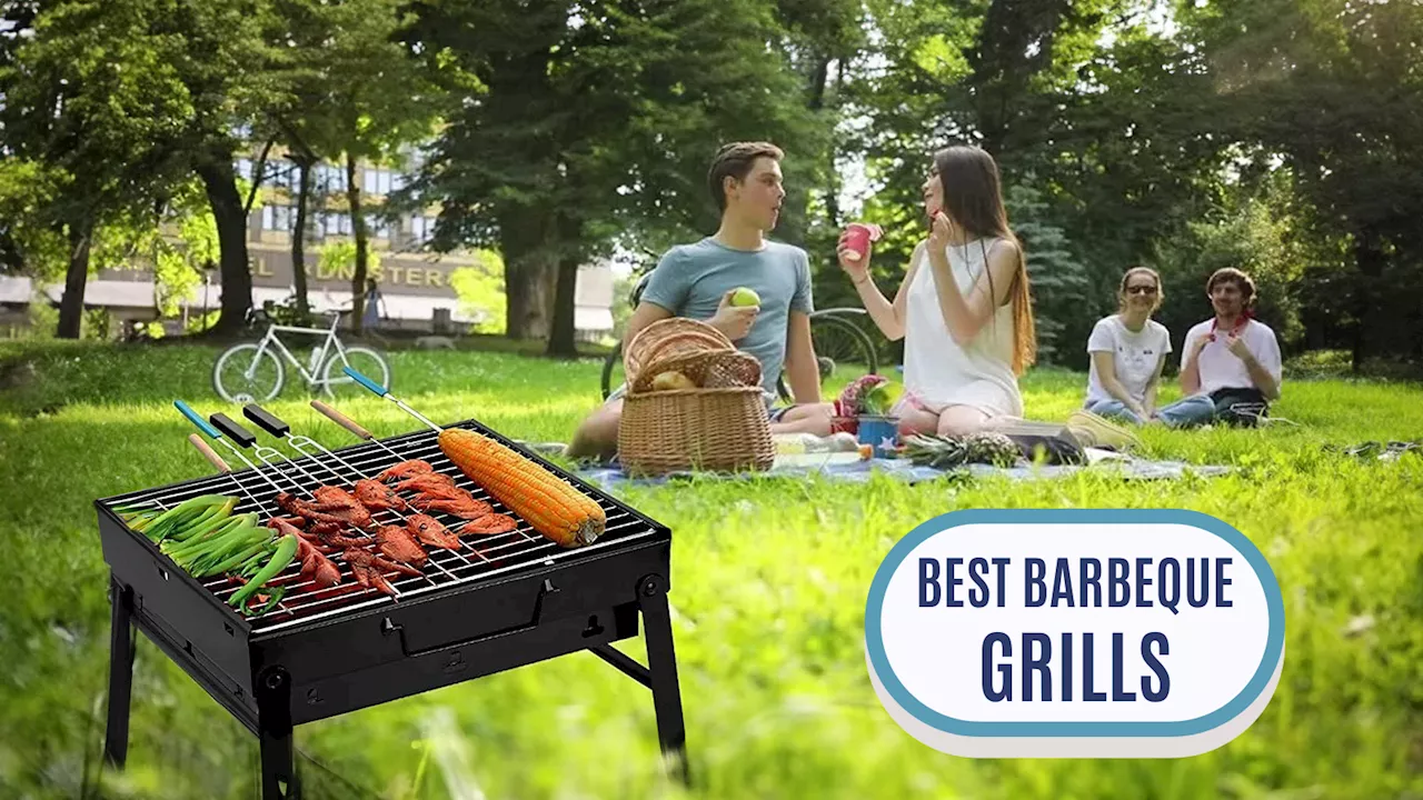 ₹10000 से कम में आने वाले Best Barbeque Grills, हर स्नैक बनेगा टेस्टी