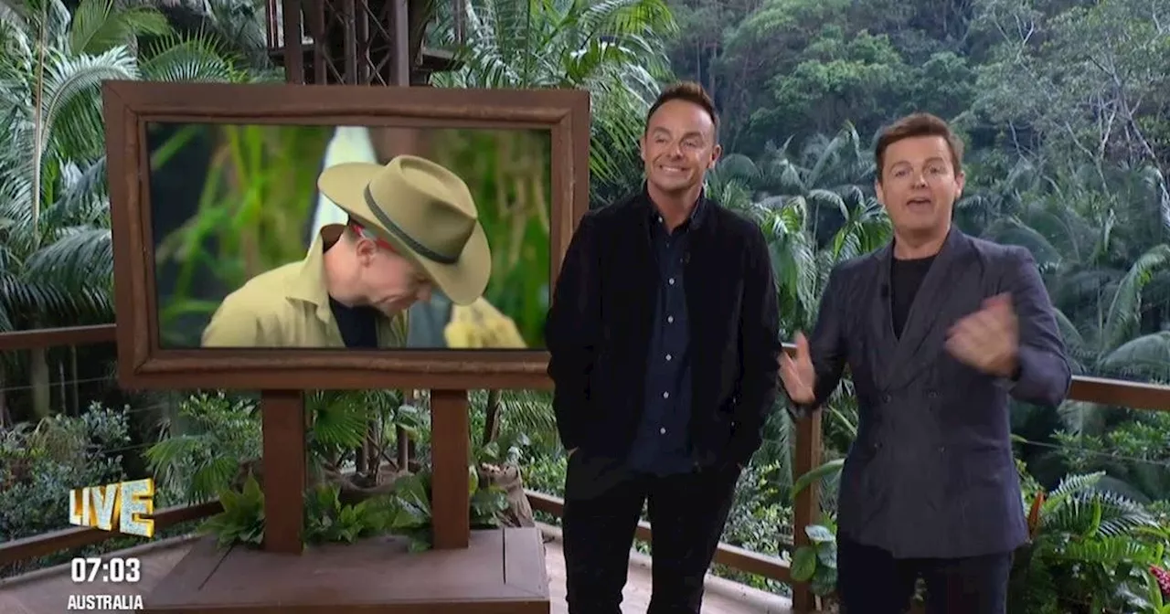 Ant and Dec make savage Rebekah Vardy jokes minutes into I'm A Celeb