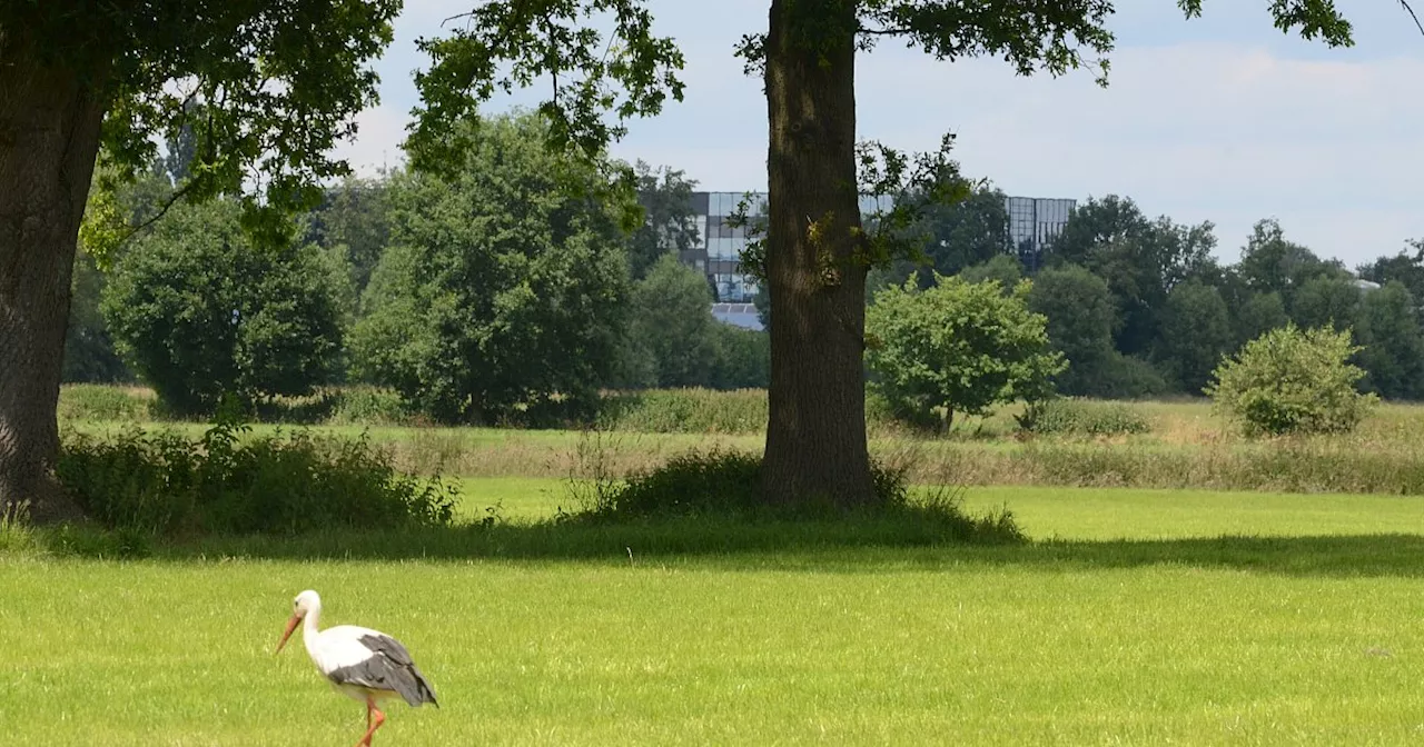 Rahdener Gesellschaft hat Flächen für umstrittene neue Windräder gesichert