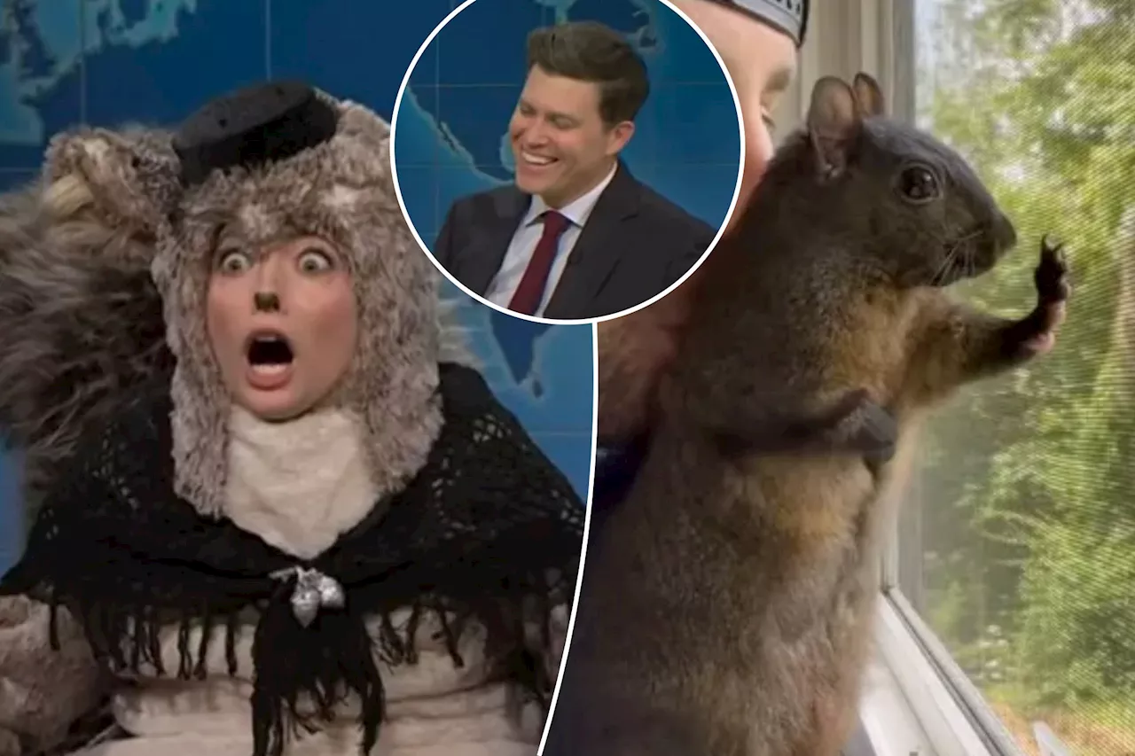 'SNL' interviews P'Nut's widow after shock death of beloved squirrel