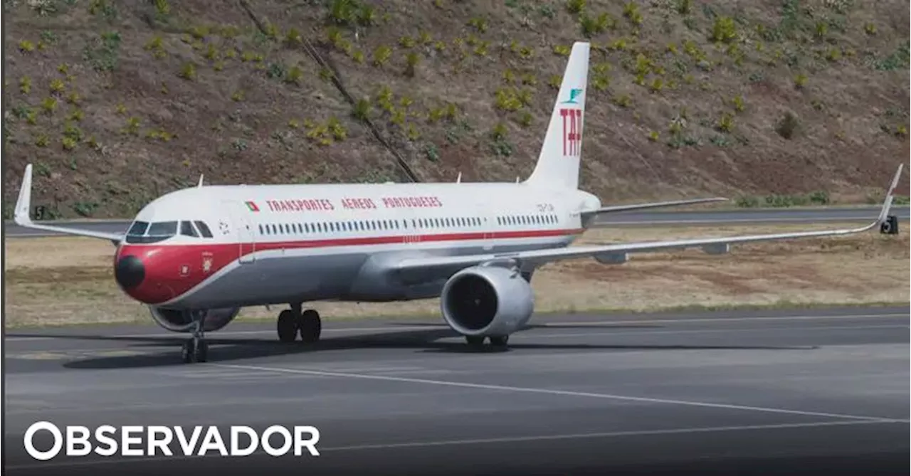 Mais de 130 hamsters à solta impedem avião da TAP de regressar a Lisboa