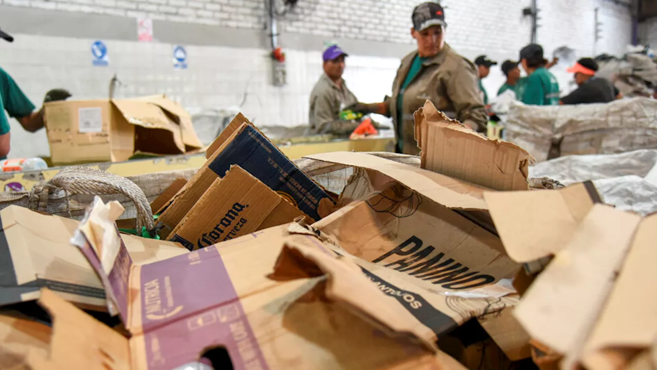 “Este gobierno nos quiere hacer desaparecer”: las cooperativas de reciclaje golpeadas por las políticas nacionales