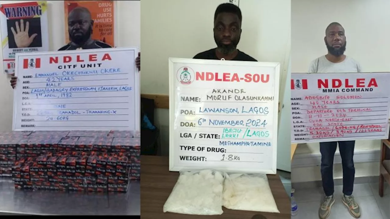 NDLEA intercepts cocaine, other drugs bound for UK, Italy, Turkey, Qatar