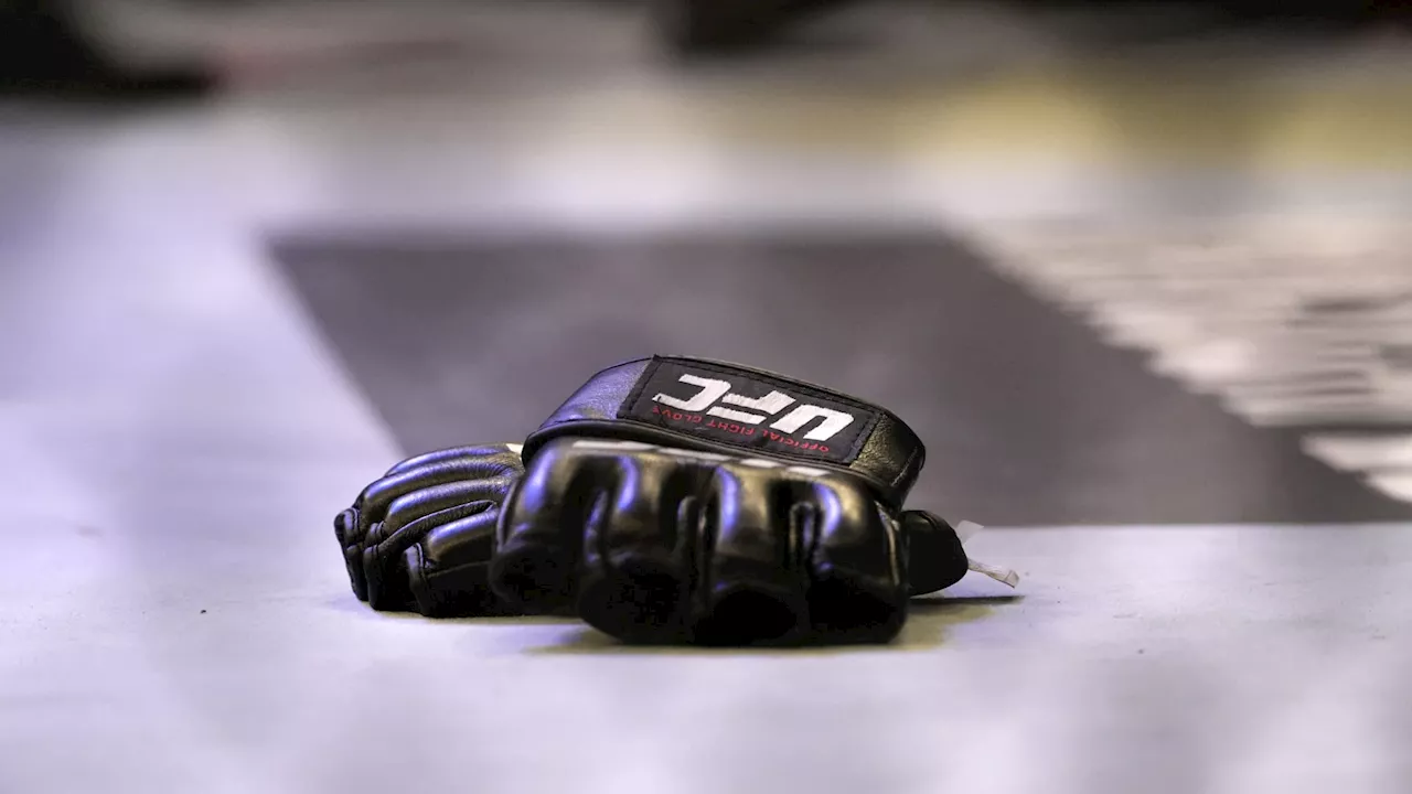 UFC: après une baisse du nombre de KO, Dana White annonce un nouveau changement de gants