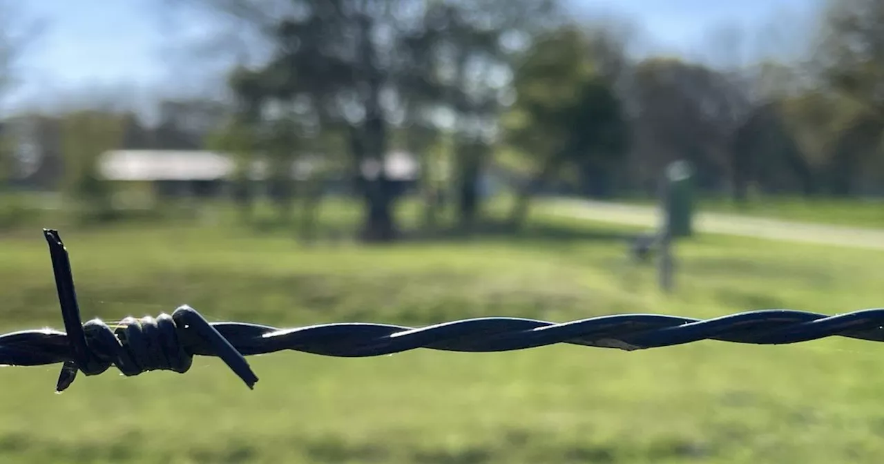 'Antisemitisme verdwijnt niet na een bezoek aan Kamp Westerbork'