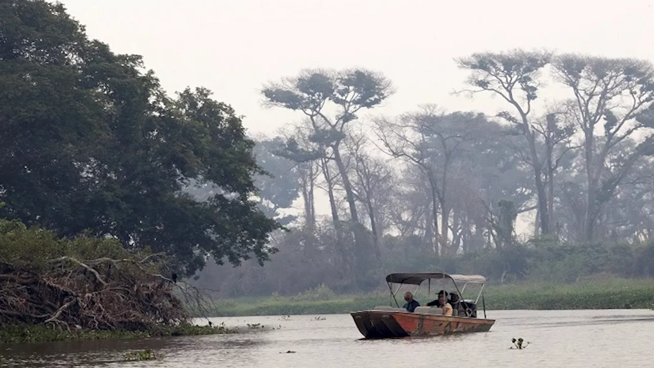 Methane from tropical wetlands surges, threats climate plans - SABC News - Breaking news, special reports,