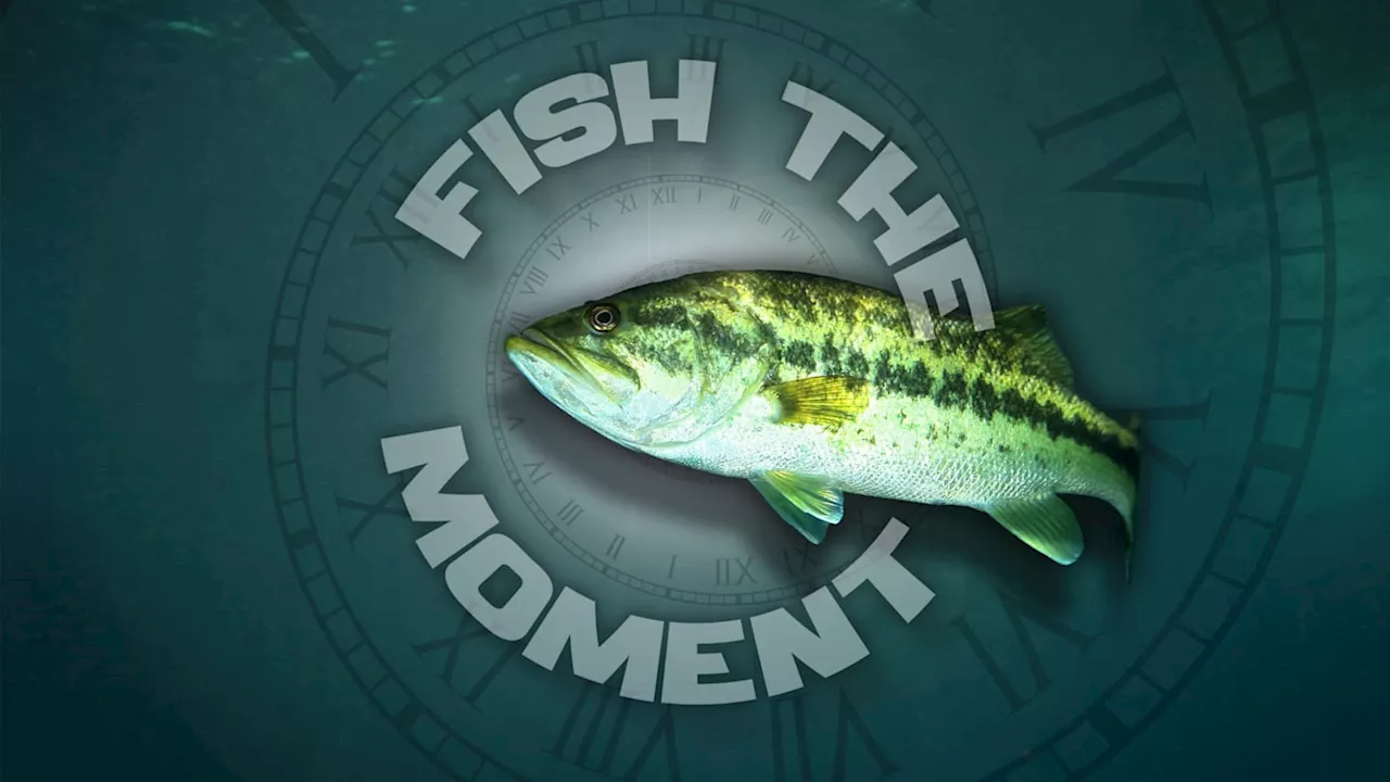 Mastering Bass Tournament Strategy: Fish the Moment for Big Wins