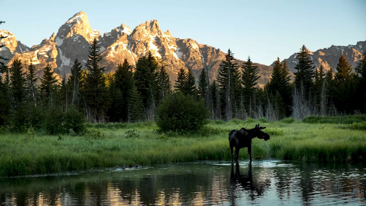 The Landmark Project Offers Perfect Mix of National Parks, Gifts This Holiday Season