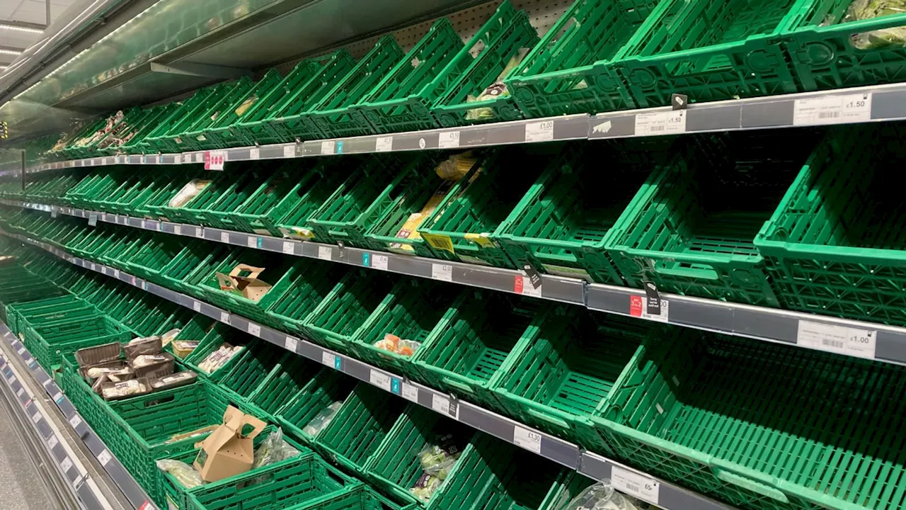 Transport Secretary Louise Haigh downplays risk of empty shelves if farmers strike over inheritance tax