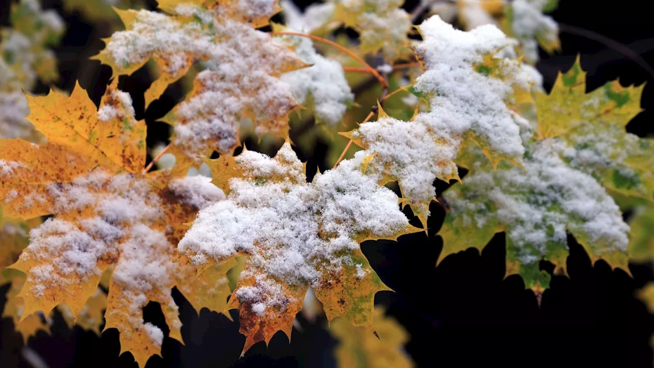 Wettervorhersage: Neue Woche bringt Schnee nach Bayern