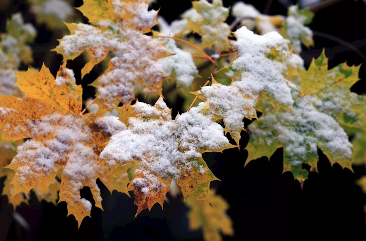 Schnee in Bayern erwartet - der Winter kommt