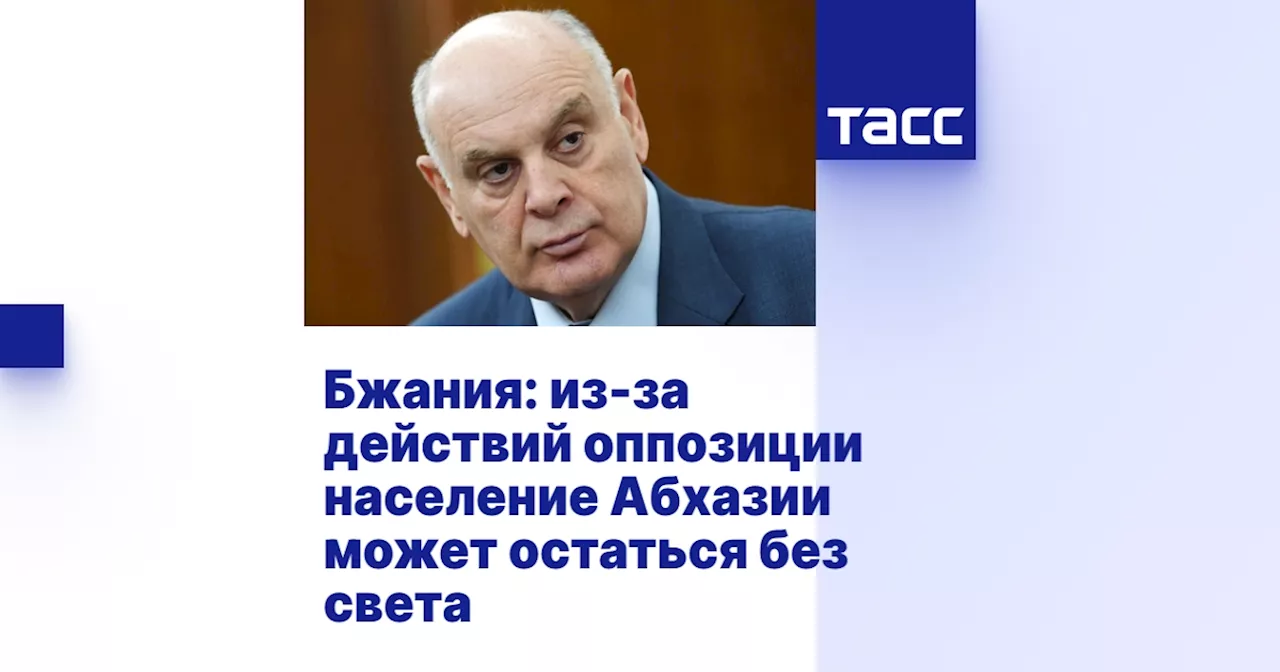 Бжания: из-за действий оппозиции население Абхазии может остаться без света