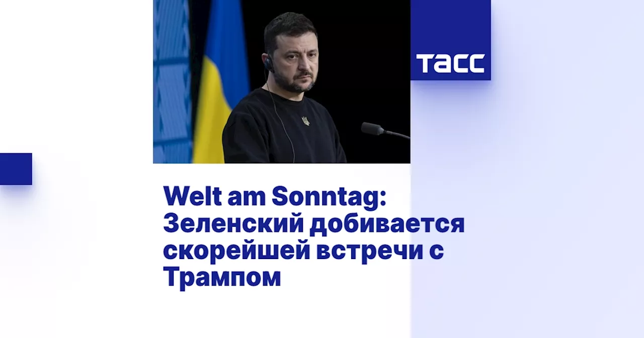 Welt am Sonntag: Зеленский добивается скорейшей встречи с Трампом