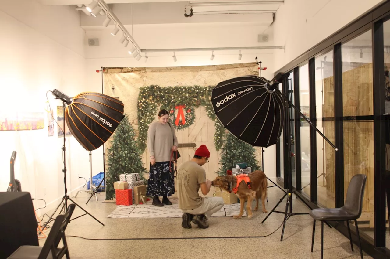 Holiday dog photoshoot supports Thunder Bay & District Humane Society