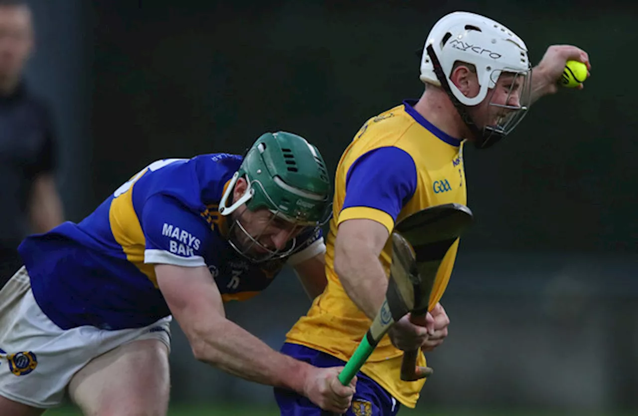 Dublin, Wexford and Offaly sides all prevail to make Leinster hurling semi-finals