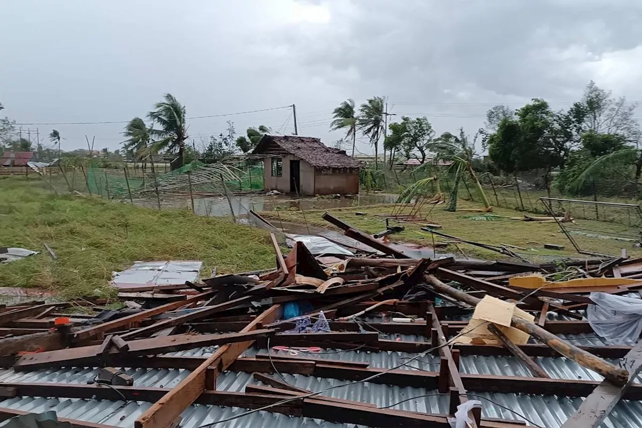 Super Typhoon Pepito fells trees, power lines