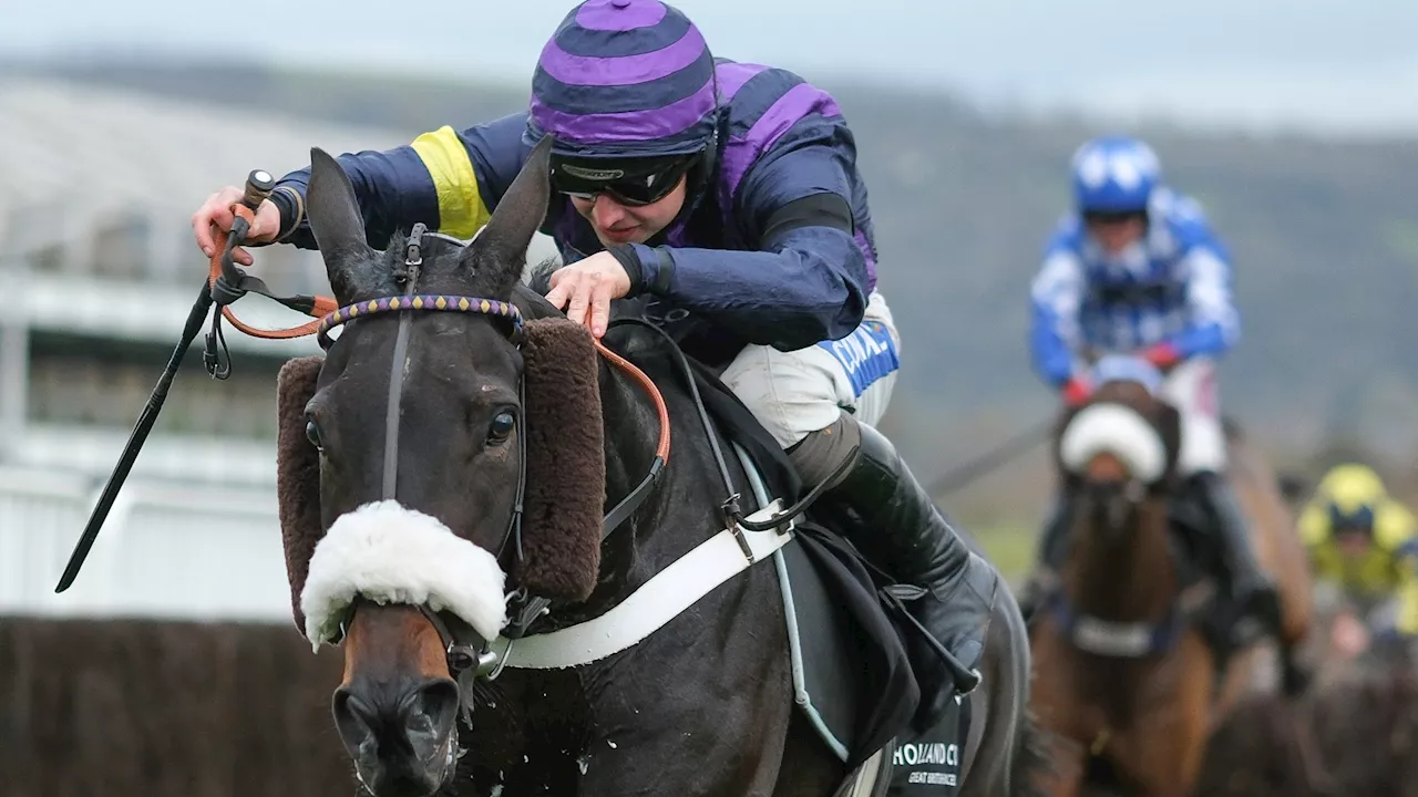 Racing fans pay tribute as two horses tragically die of suspected heart attacks in the same race at...