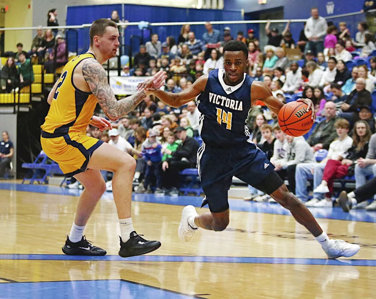 UVic sweeps UBC in meeting of top-two ranked U Sports hoops teams