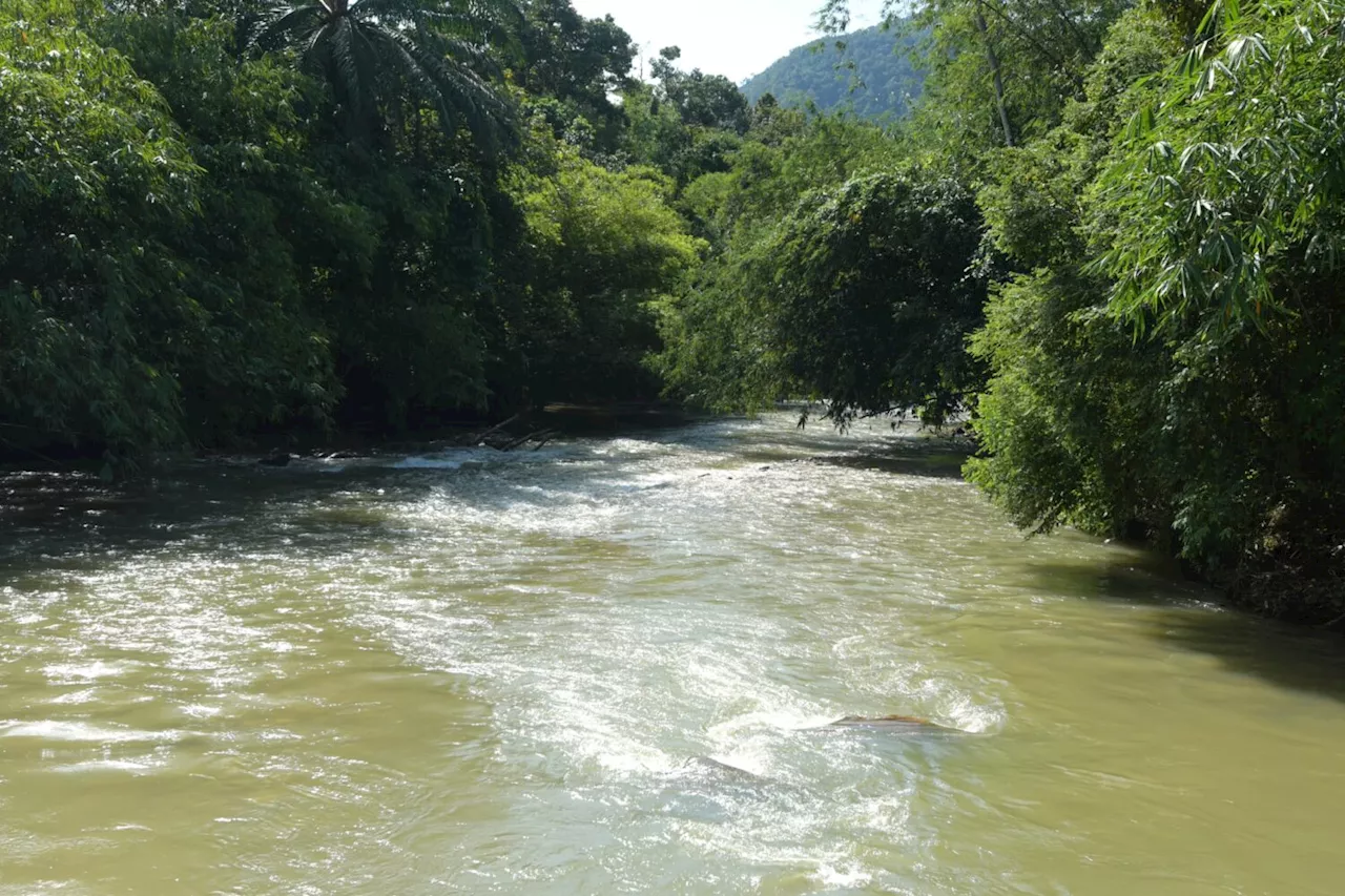 Pengusaha rekreasi air diminta henti sementara aktiviti water rafting