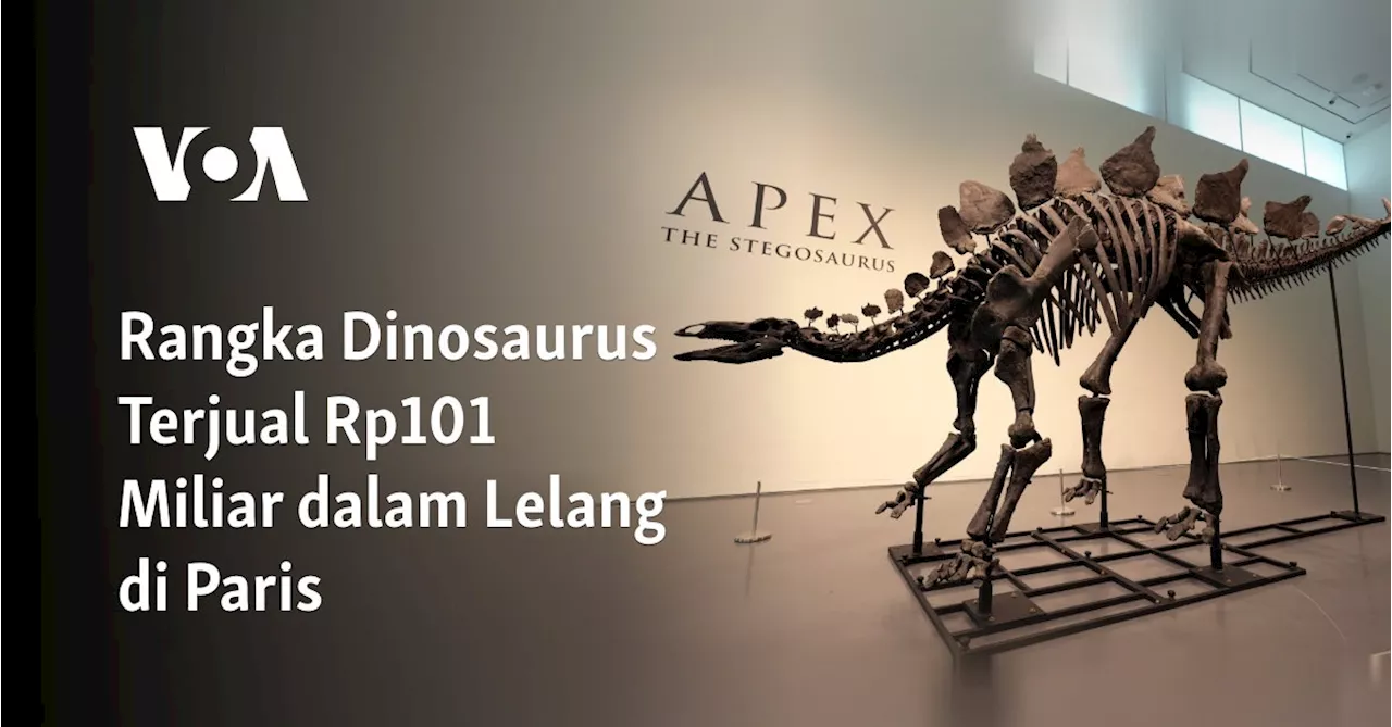 Rangka Dinosaurus Terjual Rp101 Miliar dalam Lelang di Paris