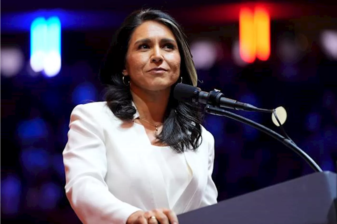 Gabbard's sympathetic views toward Russia cause alarm as Trump's pick to lead intelligence services