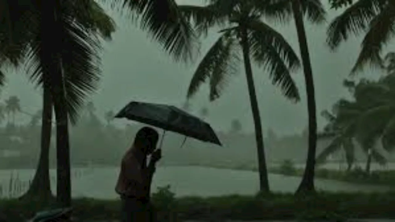 Kerala Rain Update: സംസ്ഥാനത്ത് മഴ ശക്തി പ്രാപിക്കുന്നു; 5 ജില്ലകളിൽ ഇന്ന് യെല്ലോ അലർട്ട്