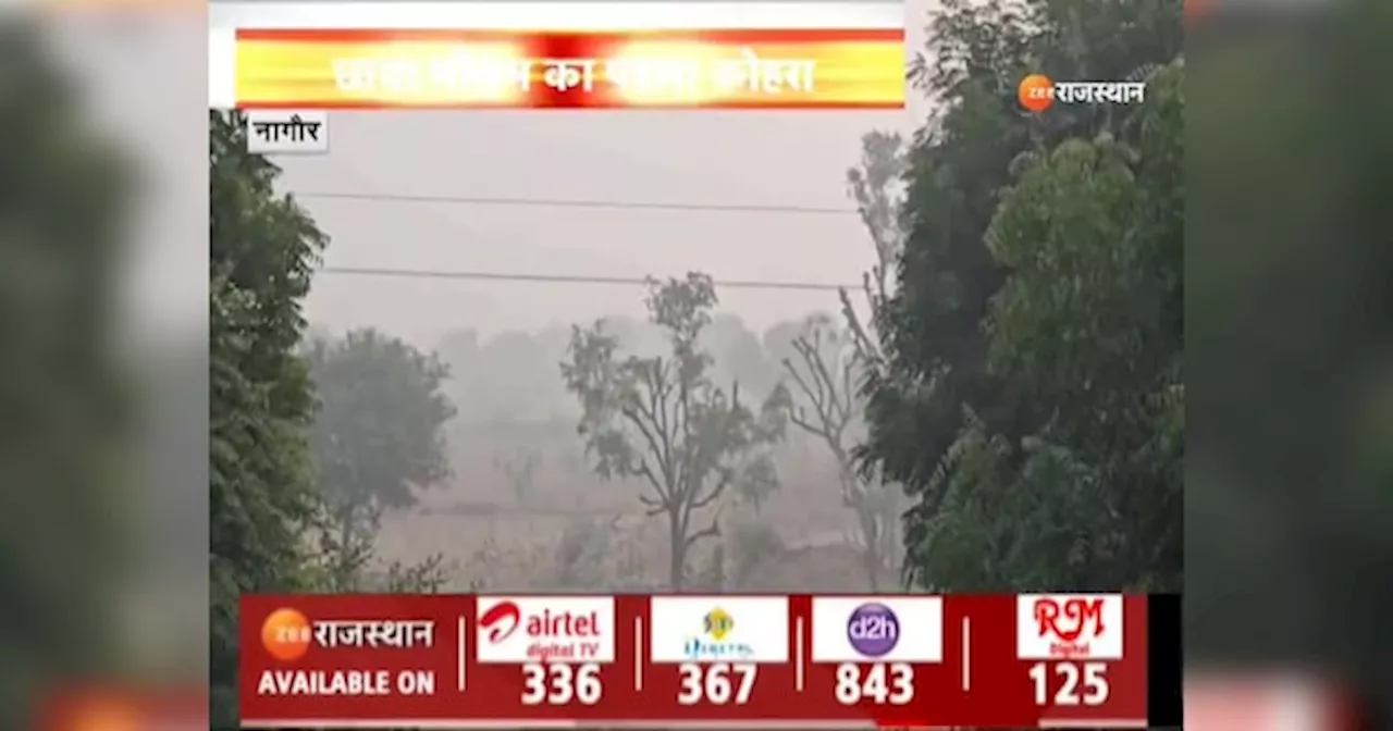 Nagaur Weather News: शहर में सुबह-शाम बढ़ा सर्दी का असर, गुलाबी ठंड दे रही दस्तक