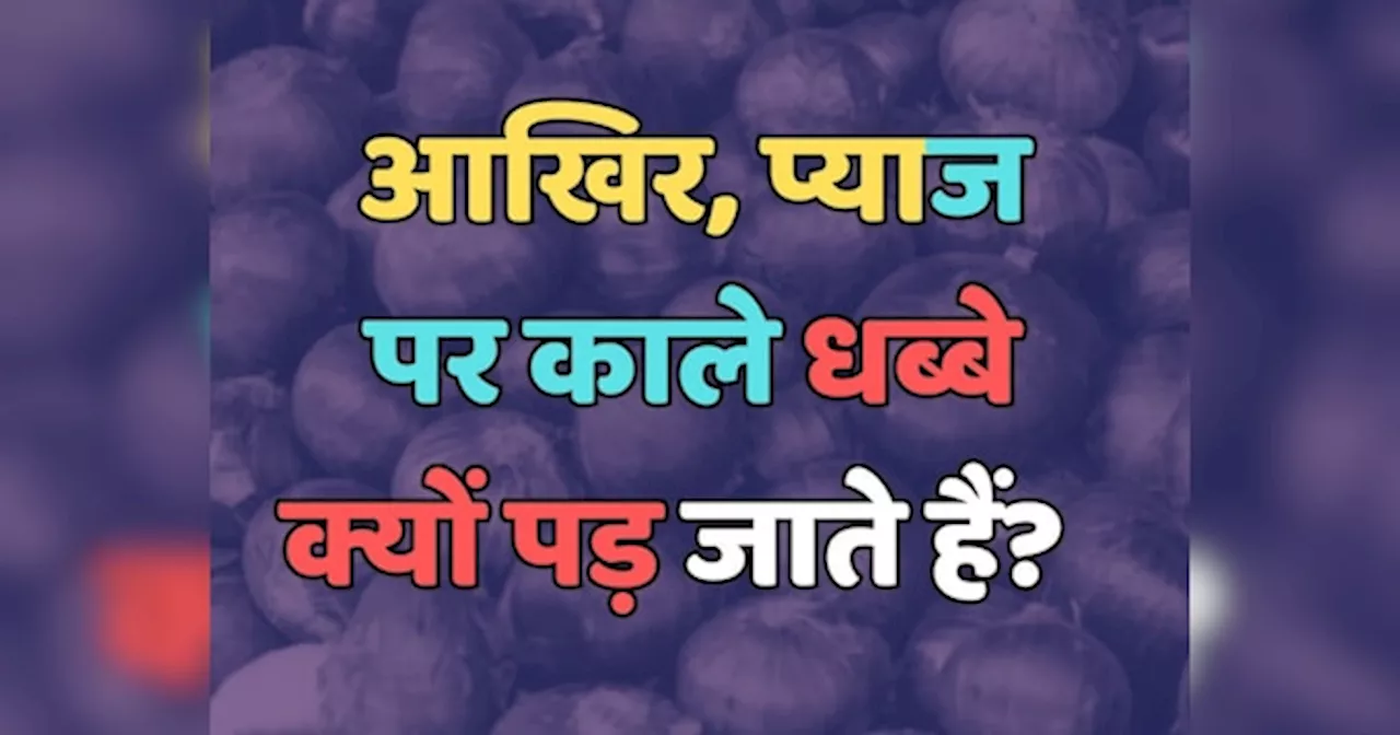 Trending Quiz : आखिर, प्याज पर काले धब्बे क्यों पड़ जाते हैं?