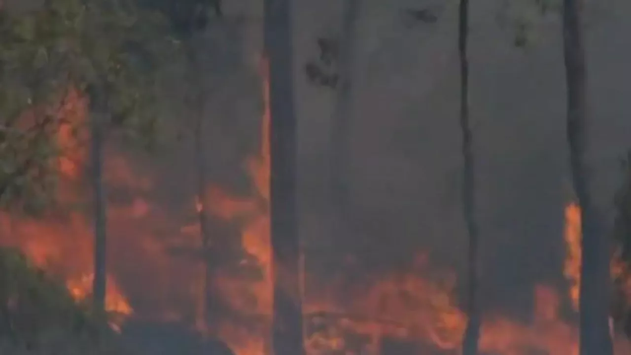 Out-of-control bushfire at Kadnook, Victoria could burn for weeks