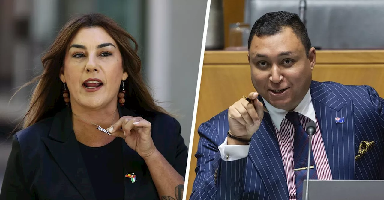 Lidia Thorpe censured for King Charles protest as second senator reprimanded for 'abhorrent, repugnant' tweets