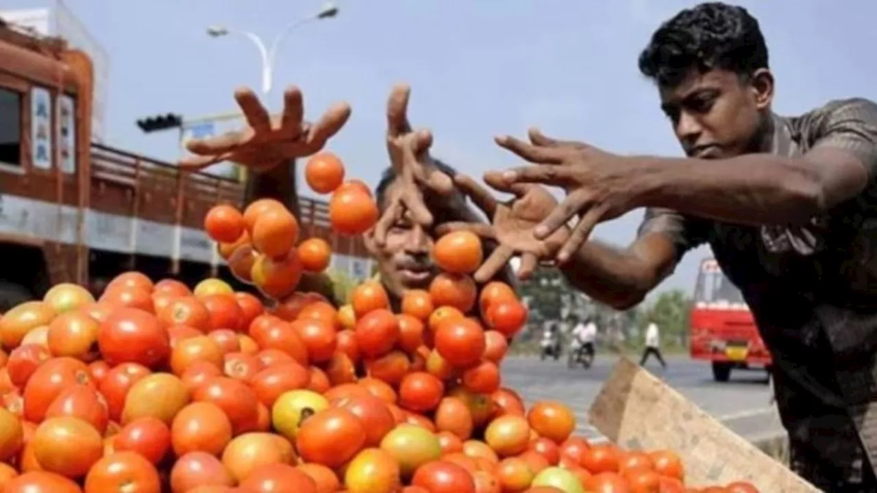 टमाटर हो गया सस्ता... सरकार ने खुद बताया कितना घटा दाम