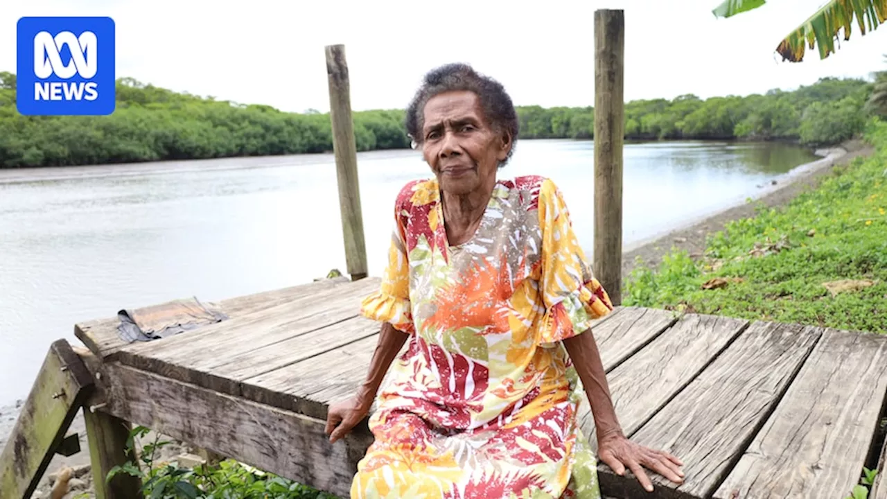 As COP29 and G20 meetings talk about climate change — and Donald Trump denies it — these Fijians are living it