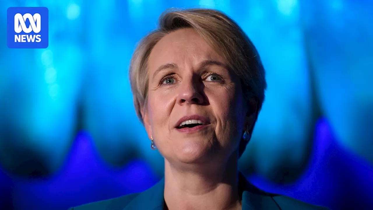 Tanya Plibersek says government needs Climate Change Authority advice before it can release 2035 target