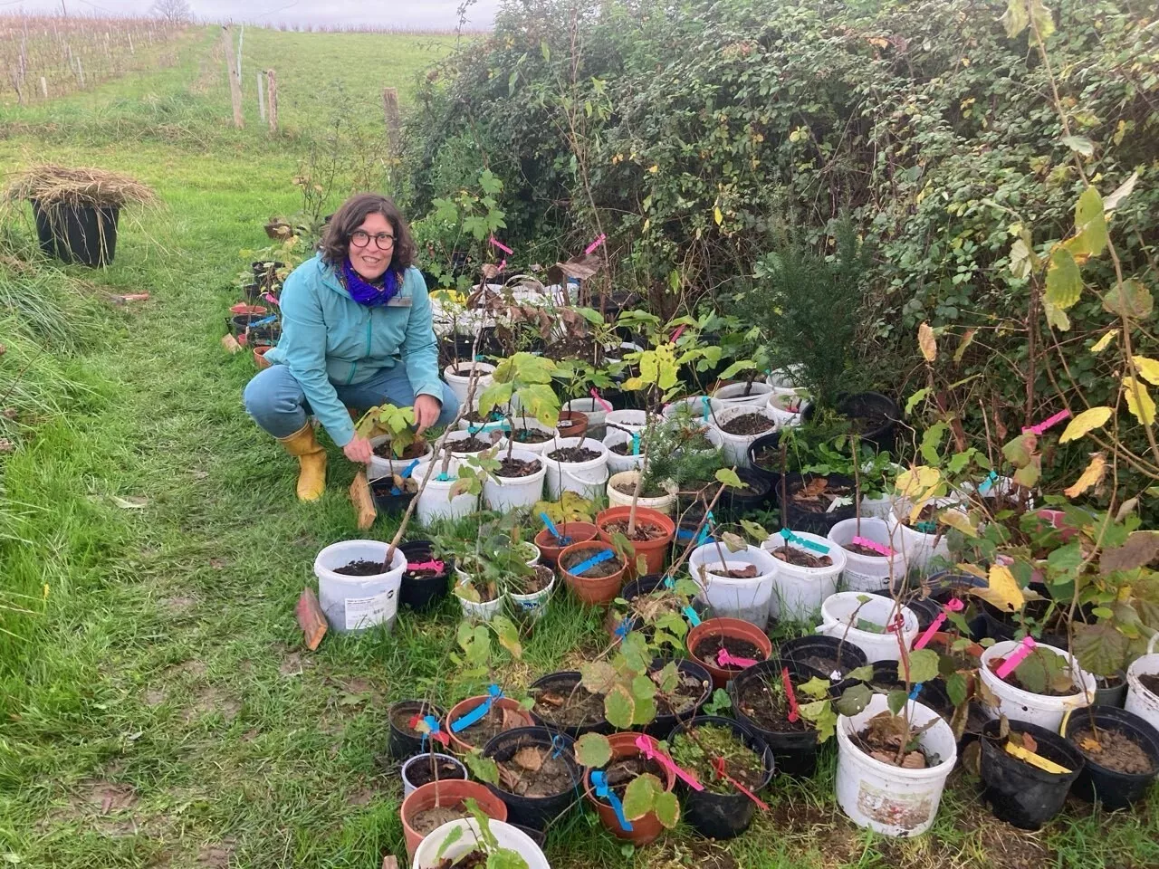 Cette association de Loire-Atlantique distribue 1 000 arbres gratuitement