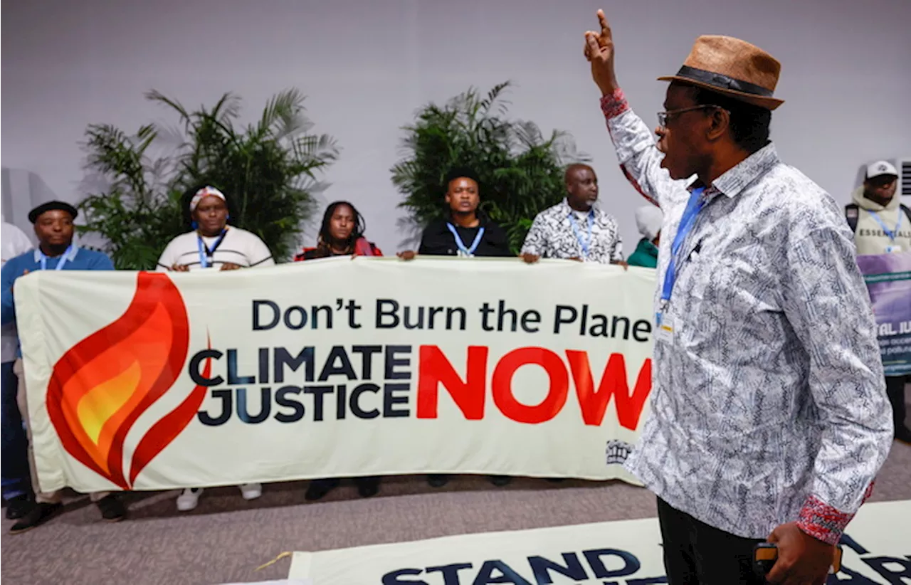 Ambientalisti a Baku durante la Cop29