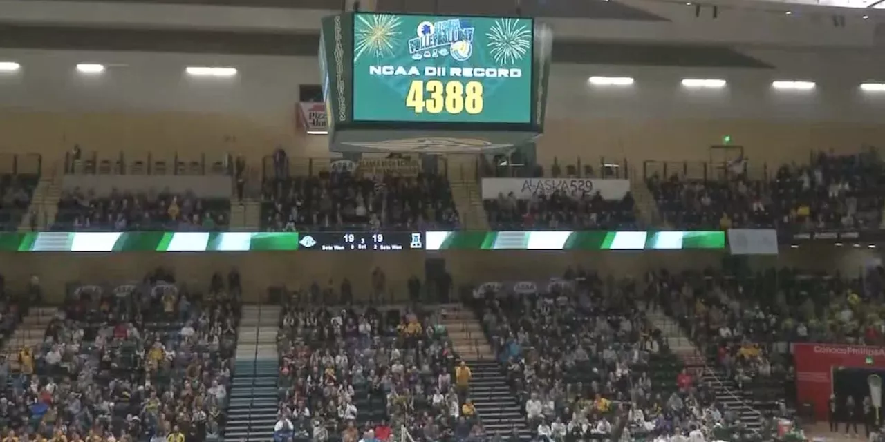 4,388 fans: UAA Volleyball reclaims NCAA DII regular-season attendance record