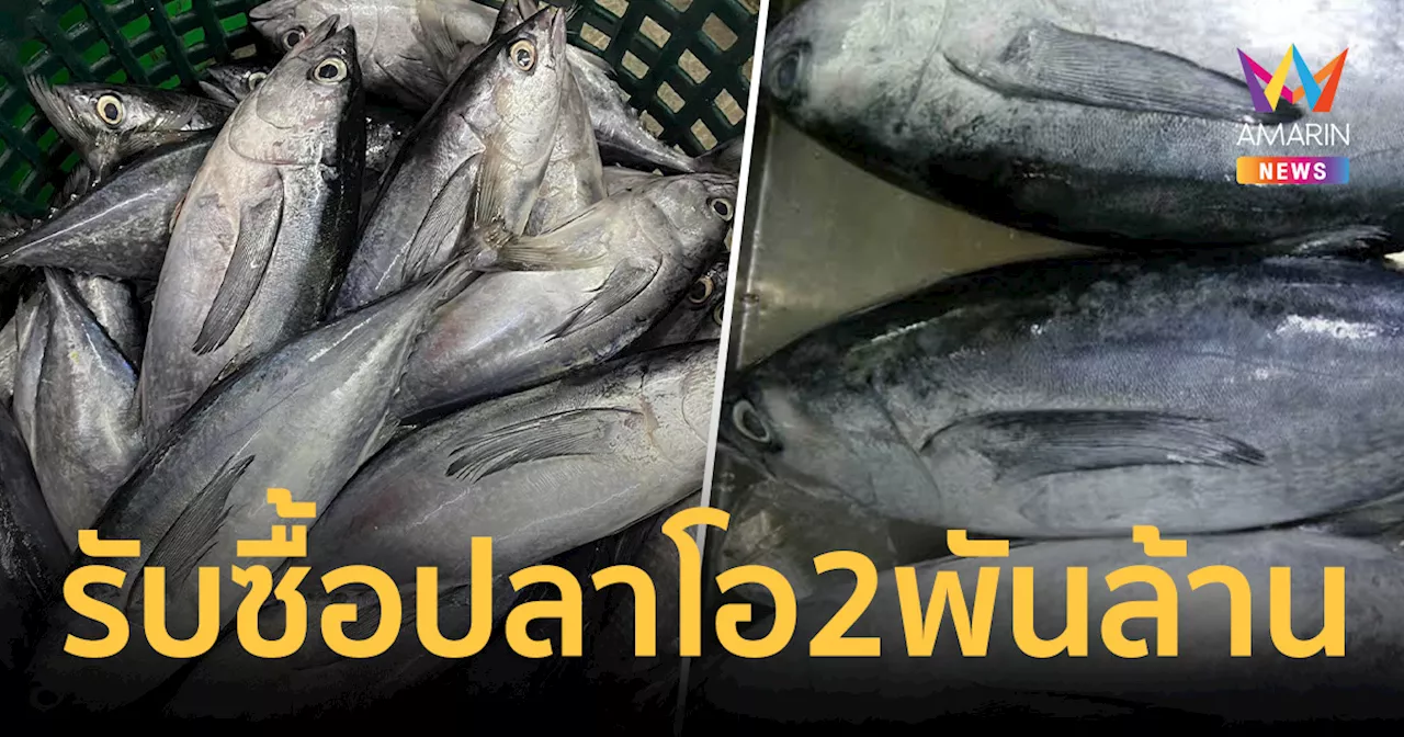 รับซื้อปลาโอ 50,000 ตัน มูลค่ากว่า 2 พันล้าน แก้ปัญหาราคาสัตว์น้ำตกต่ำ