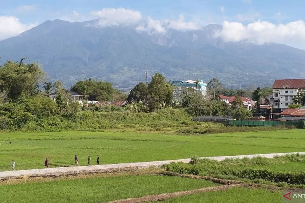 PVMBG: Gempa letusan Gunung Marapi cenderung menurun