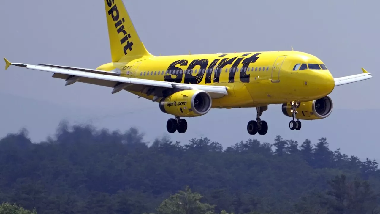 Spirit Airlines files for bankruptcy as financial losses pile up and debt payments loom