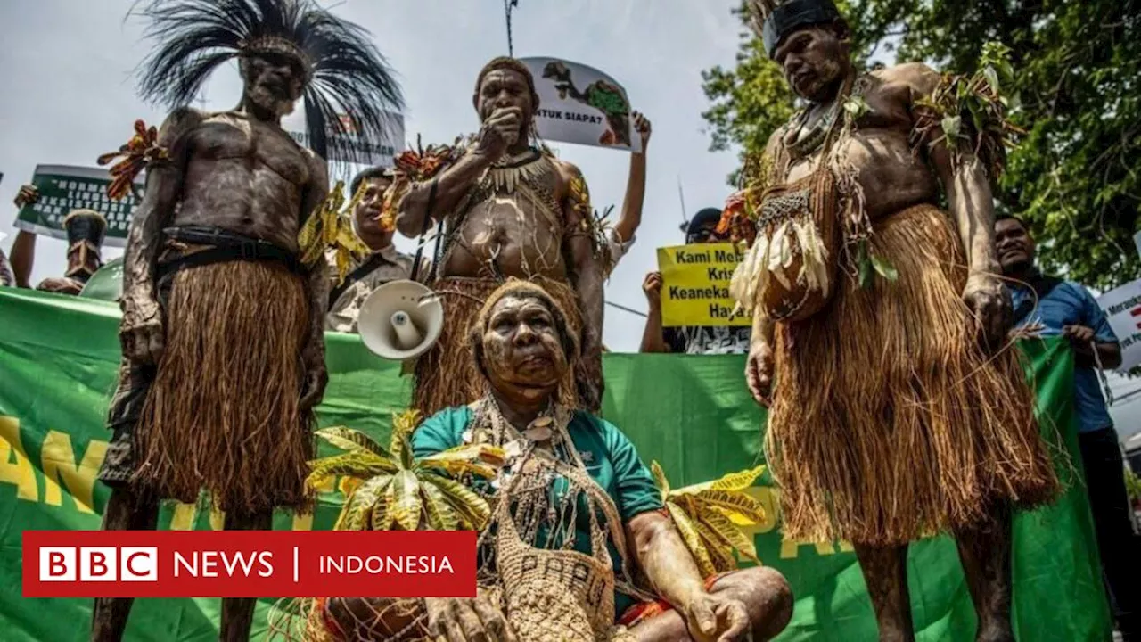 Pilkada 2024: Food estate di Merauke, warga asli Papua pesimistis pilkada bisa cegah dampak buruk PSN