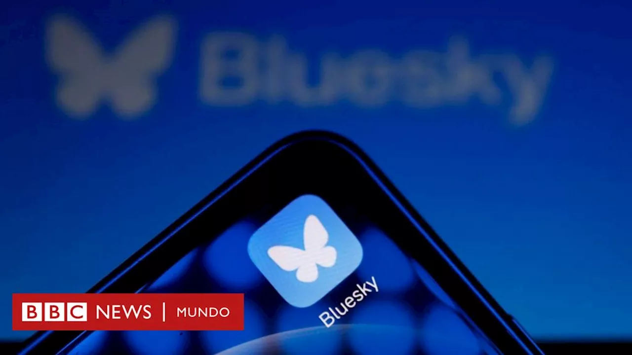 Bluesky, la red social alternativa para los usuarios que dejan X como protesta contra Elon Musk