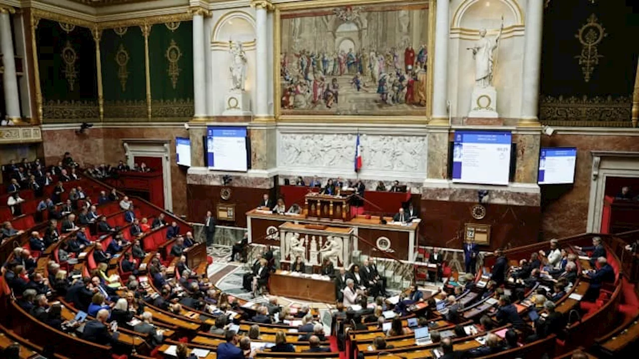 Mercosur: un député proche de Michel Barnier demande un vote à l'Assemblée nationale