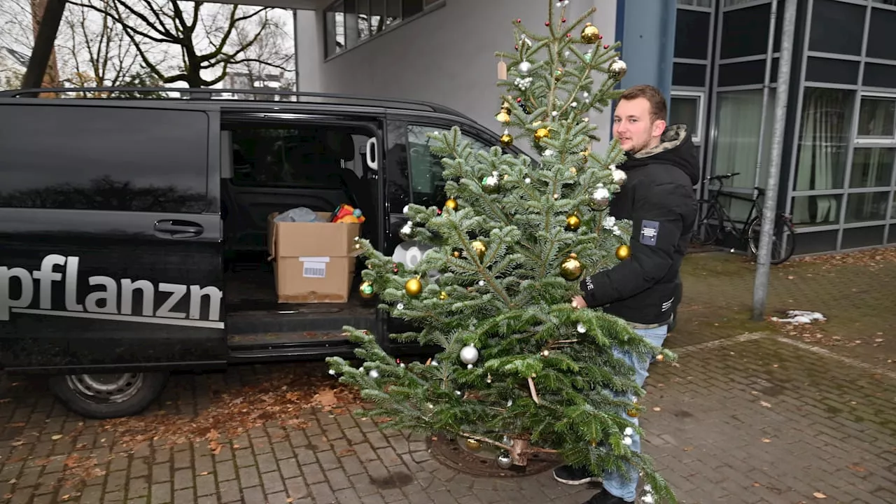 Hamburg: 3000 Euro Strafe, weil er Christbaum in Kita aufstellte