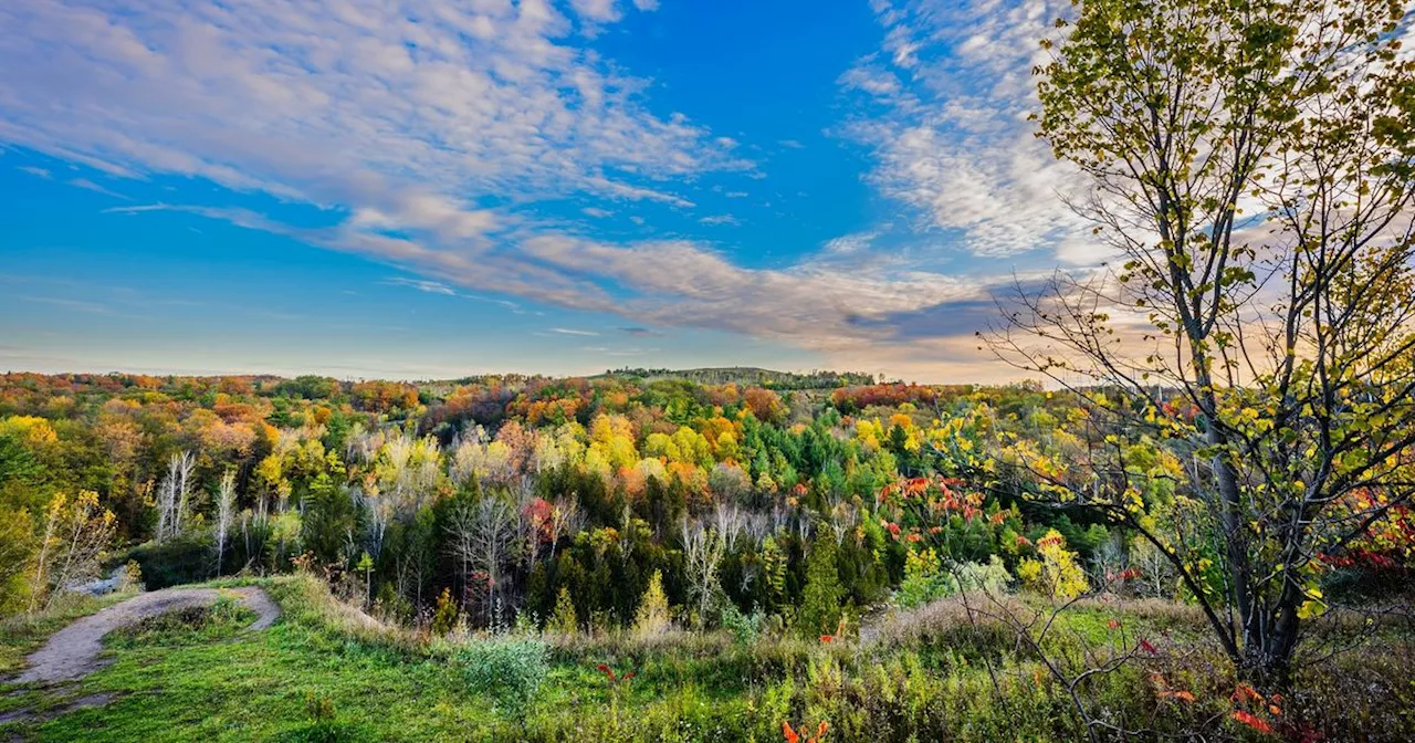 Toronto's largest park is set to get even bigger