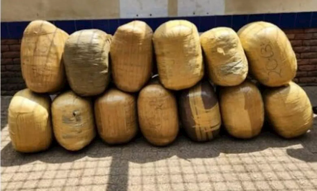 Lesotho national transporting R260k worth of dagga arrested