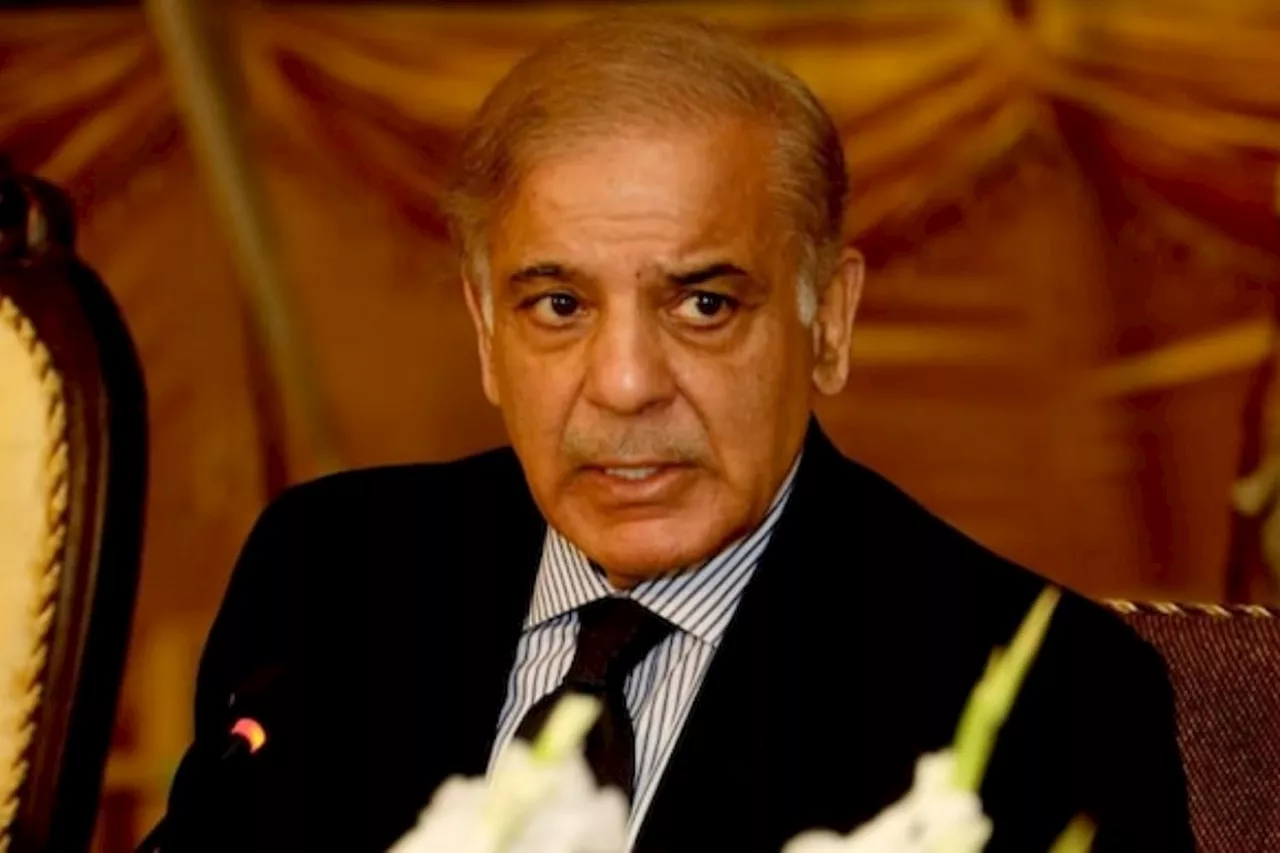 PM Shehbaz satisfies with economic stability, investment boom